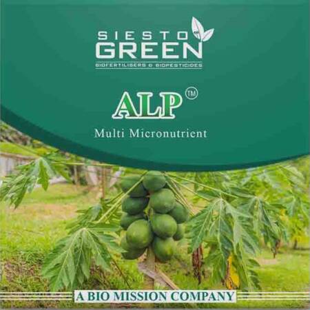 ALP